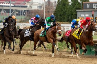 Bet on the 2025 Falls City Stakes with a $40 budget