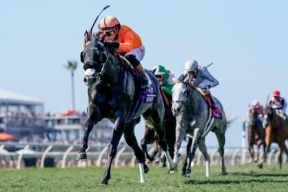Breeders' Cup Turf Sprint Winner Shiso Spicy Bolsters Fasig Tipton November Sale