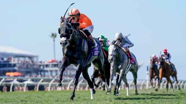 Breeders' Cup Turf Sprint Winner Shiso Spicy Bolsters Fasig Tipton November Sale