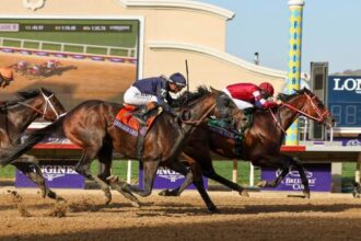 Breeders' Cup brings big changes to Equibase leaderboard as Forever Young shakes up the standings
