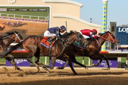 Breeders' Cup brings big changes to Equibase leaderboard as Forever Young shakes up the standings