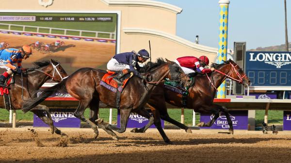 Breeders' Cup brings big changes to Equibase leaderboard as Forever Young shakes up the standings