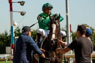 Brown, Franco, Paradise Farms and Rice win New York tournament