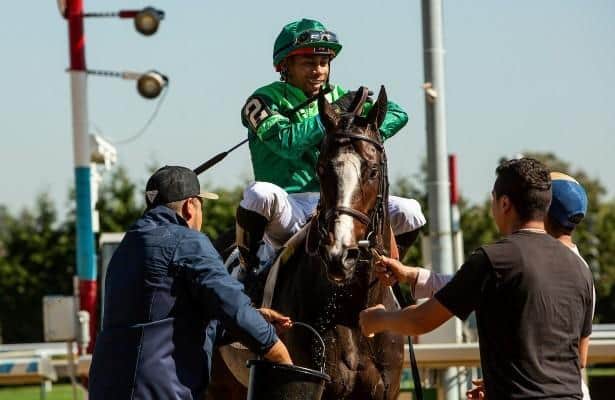 Brown, Franco, Paradise Farms and Rice win New York tournament