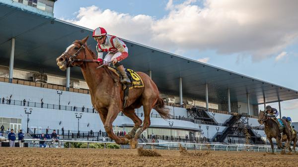 Brown is already looking forward to 2026, with Mother Goose winner fully subscribed