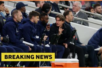 Tottenham to sign 36-goal Premier League striker