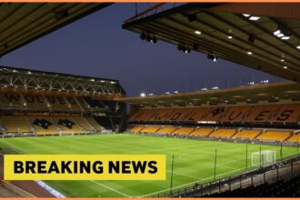 Former Premier League manager unlikely to take Wolves job