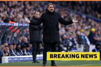 Leeds fan arrested for act against Daniel Farke