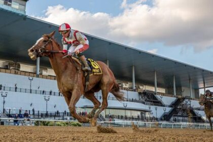 Chad Brown already looking forward to 2026 with Mother Goose winner full subscription