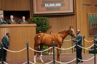 Courtship training for Pletcher for $5 million