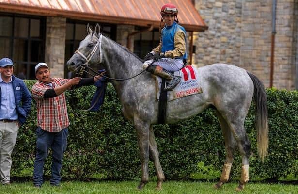 Cox Hit Show, First Mission leads 18 major prize winners