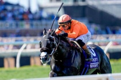 D'Angelo explains the future of Shiso Spicy and Ventornato