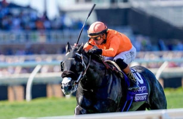 D'Angelo explains the future of Shiso Spicy and Ventornato