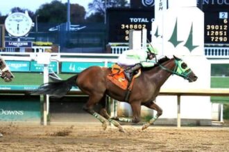 Double your winnings for chaotic wins Claim your Crown Jewels