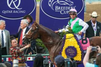 Elite Power: Two-time Breeders' Cup Champion and Modern Sprint Sensation