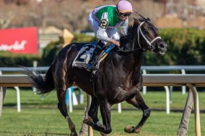 Equibase Rankings: Veterans and Rising Stars Highlight the Week