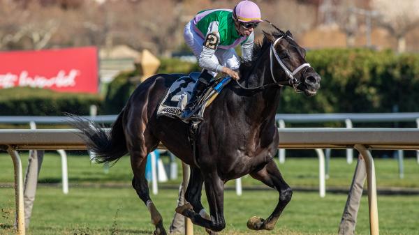 Equibase Rankings: Veterans and Rising Stars Highlight the Week