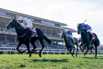 Ethical Diamonds Shock the Breeders' Cup Turf and Become the Centerpiece of Saturday's Undercard Card