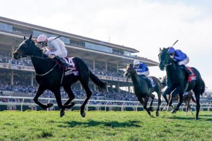 Ethical Diamonds Shock the Breeders' Cup Turf and Become the Centerpiece of Saturday's Undercard Card