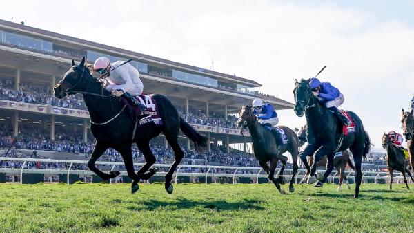 Ethical Diamonds Shock the Breeders' Cup Turf and Become the Centerpiece of Saturday's Undercard Card