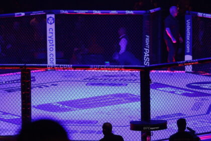 UFC Cage Octagon