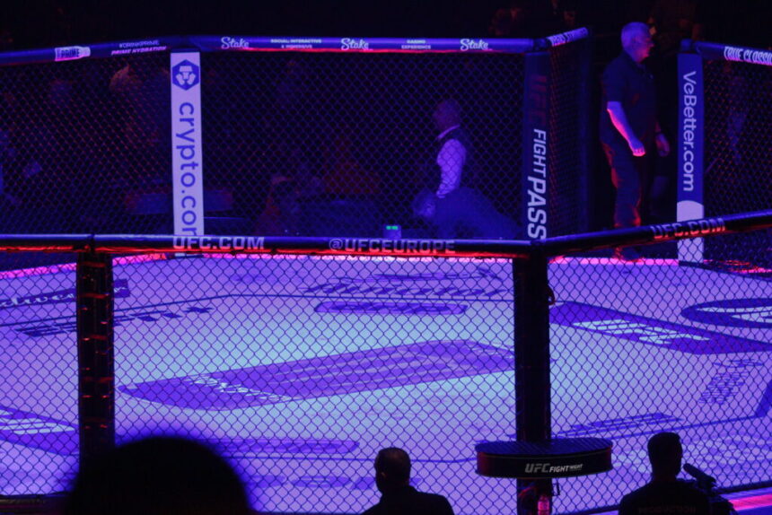 UFC Cage Octagon