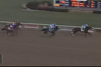 Fastergator proves to be the fastest horse in the Steel Valley Sprint