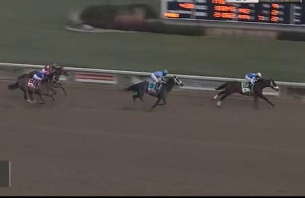 Fastergator proves to be the fastest horse in the Steel Valley Sprint