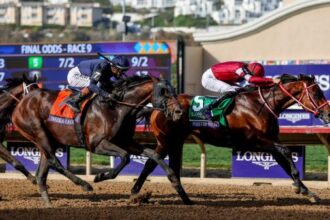 Forever Young Sensational with Breeders' Cup Classic win