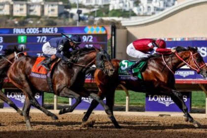 Forever Young Sensational with Breeders' Cup Classic win
