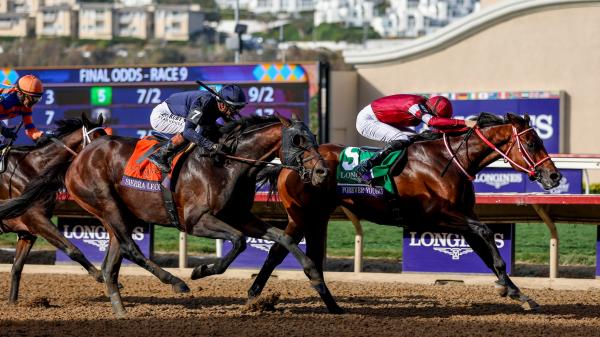 Forever Young Sensational with Breeders' Cup Classic win