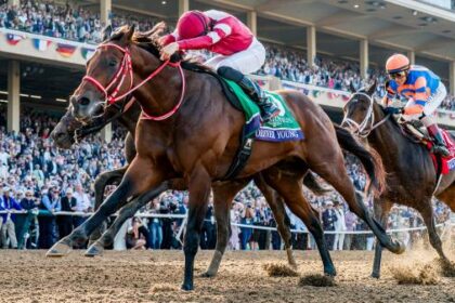 Forever Young and Sovereignty tied as world's best dirt racehorses in Longines rankings