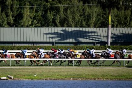 From autumn to winter, focusing on first-class horse racing
