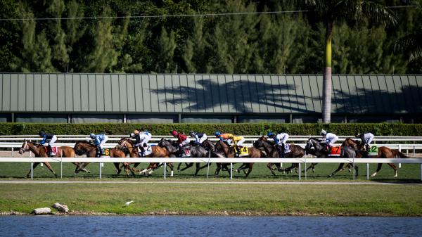 From autumn to winter, focusing on first-class horse racing