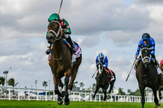 Gulfstream Park winning trends in 2025-2026 championship competition.