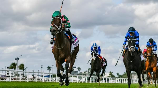Gulfstream Park winning trends in 2025-2026 championship competition.