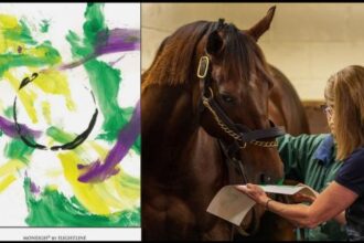 Holiday Money Charity Auction begins Sunday on eBay