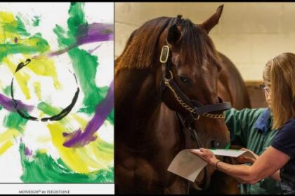 Holiday Money Charity Auction begins Sunday on eBay