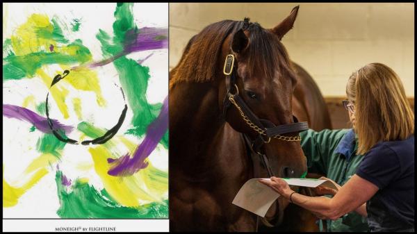 Holiday Money Charity Auction begins Sunday on eBay