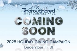 Holiday campaign to support thoroughbred aftercare starts on December 1st