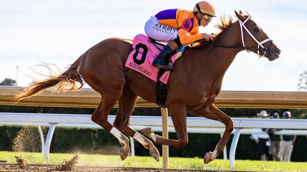 Is the highly regarded Father Ad a favorite in the Kentucky Jockey Club Stakes?