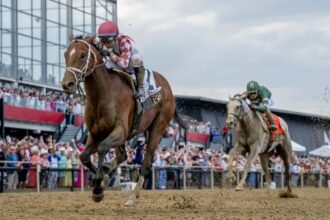 Journalism from Preakness winner continues training for 2026 race
