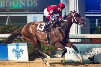 Magnitude, Iscream Scream Read 12 Tabs