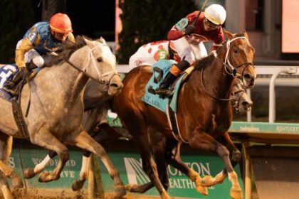 Magnitude denies hit show with thrilling Clark Stakes win