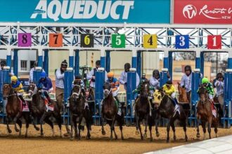 NYRA adds makeup card to Suidobashi after cancellation