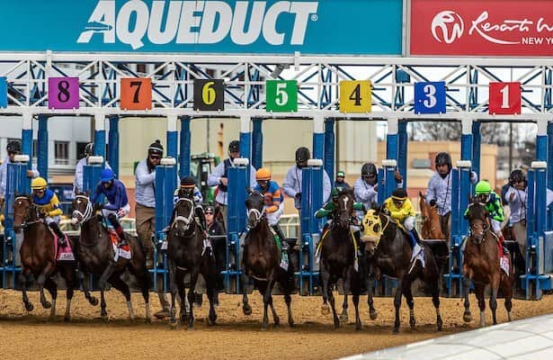 NYRA adds makeup card to Suidobashi after cancellation