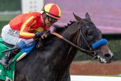 Nevada Beach returns to work immediately after Breeders' Cup