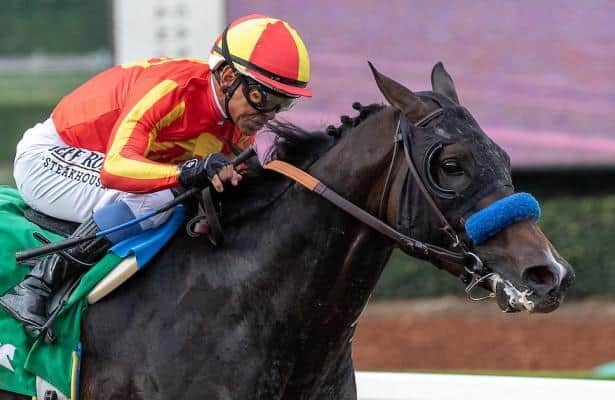 Nevada Beach returns to work immediately after Breeders' Cup