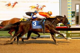 Nevada Beach thwarts British Isles with native divers