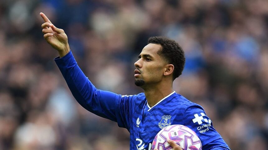 Newcastle manager Moyes scouts 'fantastic' Everton star